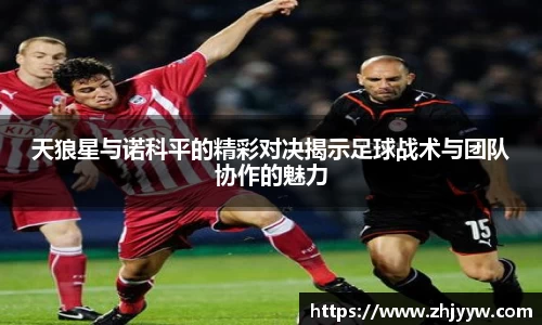 jinnianhui金年会：天狼星与诺科平的精彩对决揭示足球战术与团队协作的魅力